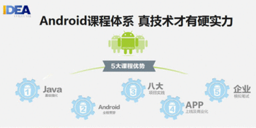 石家庄软件开发速成班 聚焦教育软件开发的高效路径